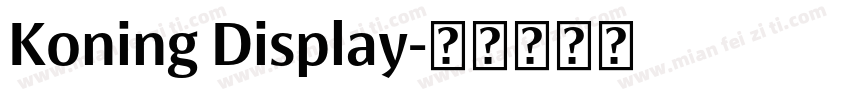 Koning Display字体转换